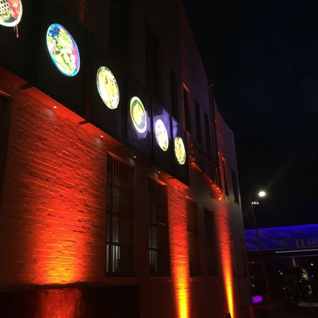 Sci-artist Suzanne Anker, Vanitas