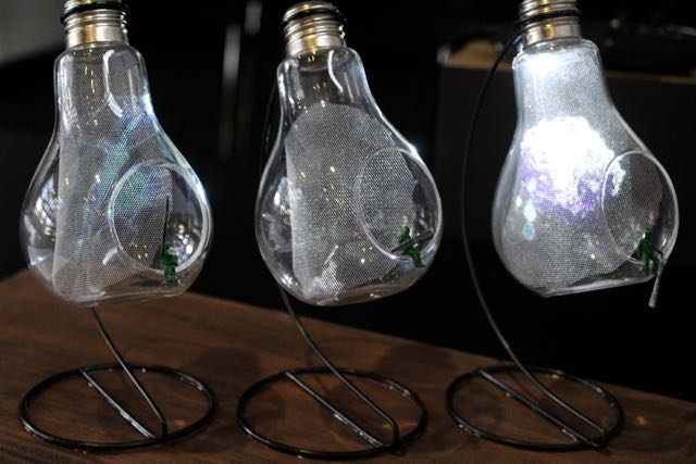 Alinta Krauth, Glas Blong Huriken, 2016